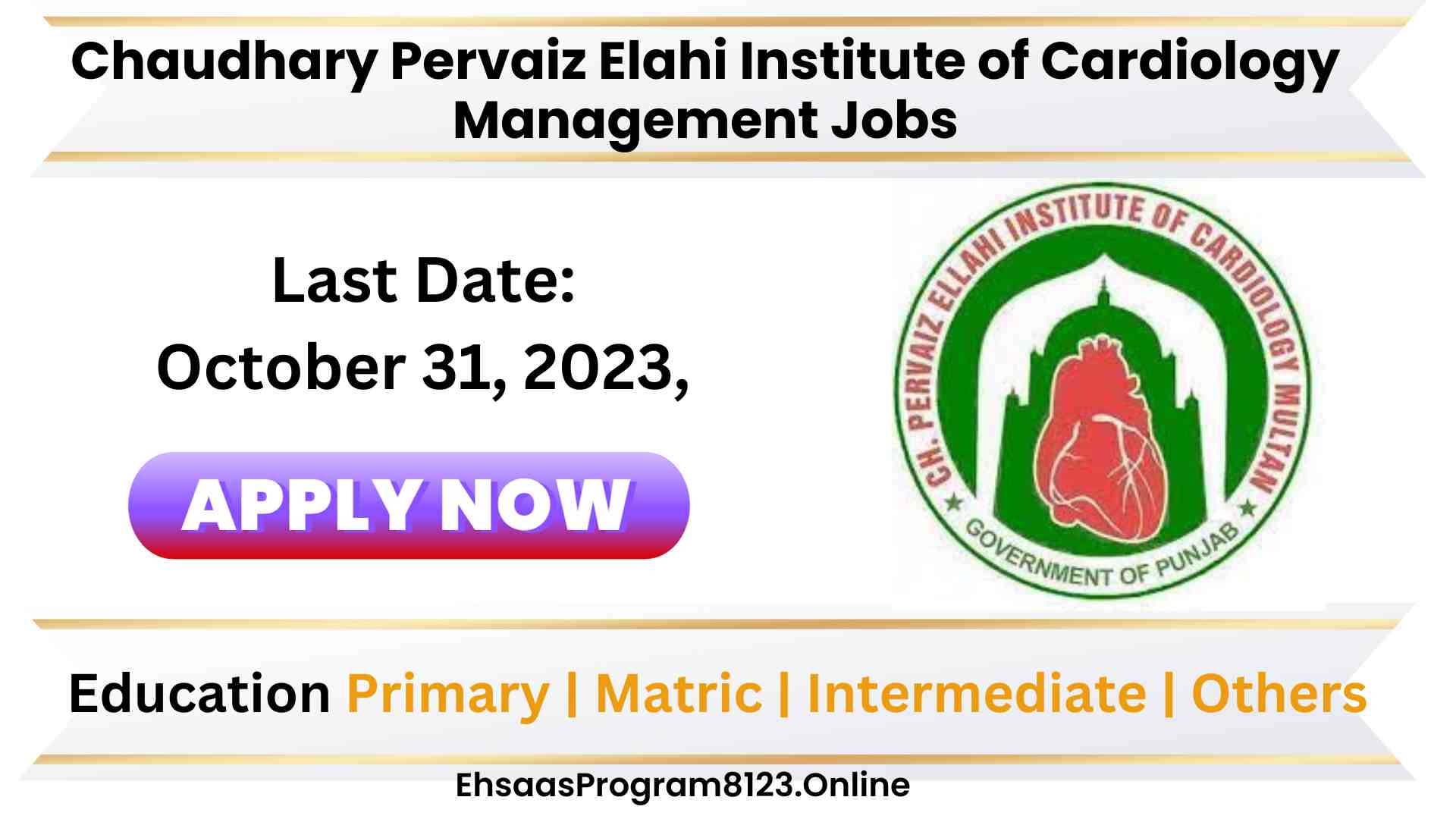 Latest Chaudhary Pervaiz Elahi Institute of Cardiology Management Jobs Multan 2023