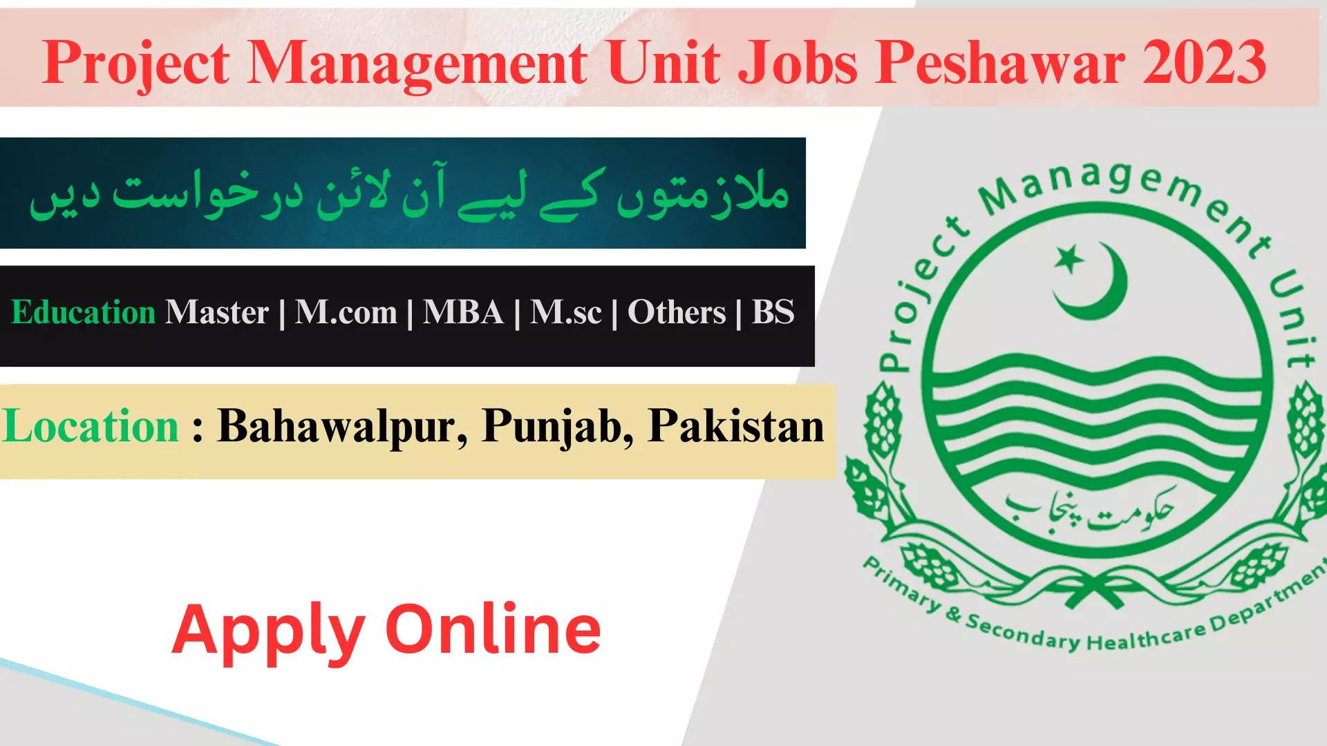 Latest Project Management Unit Jobs Peshawar 2023